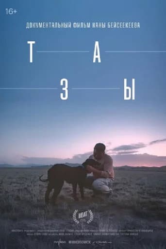 Тазы