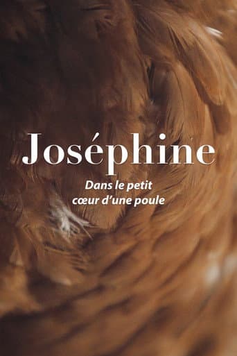 Joséphine, dans le petit cœur d'une poule