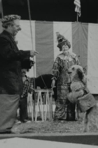 Circus