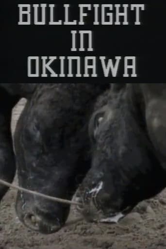 Bullfight in Okinawa
