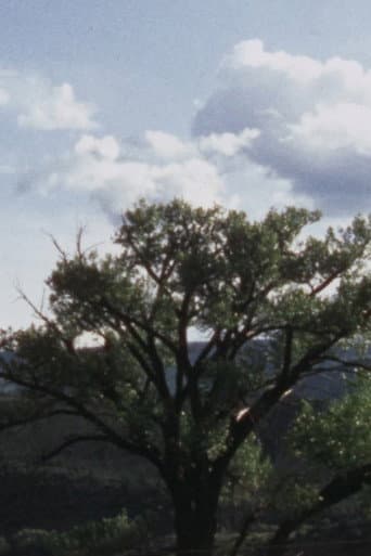 Carter Jackson's Cottonwood