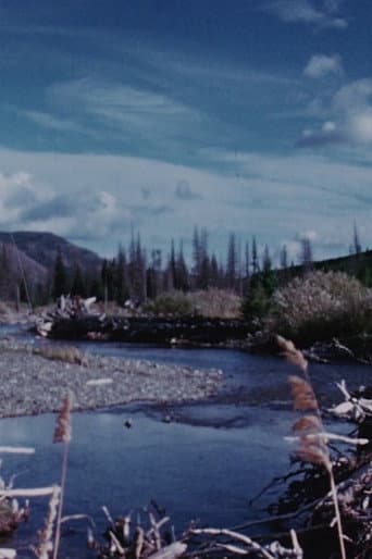 Concerto for Water, Sun and Wilderness