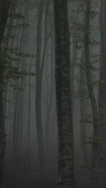 Refuge II: The Ice Path