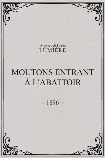 Moutons entrant à l'abattoir