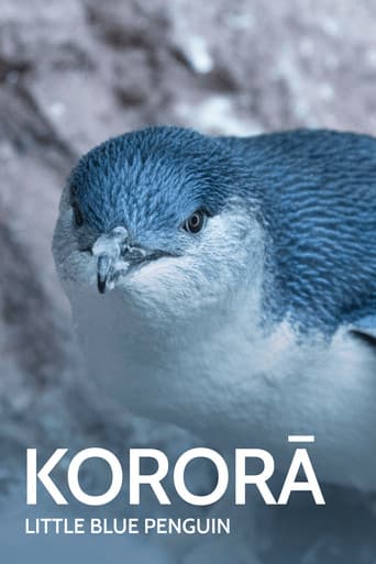 Kororā: Little Blue Penguin