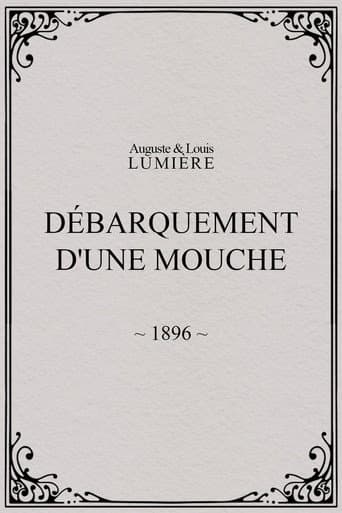 Lyon: Débarquement d'une mouche
