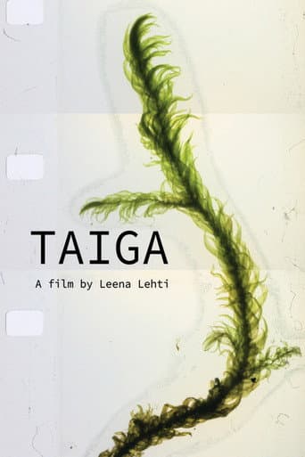Taiga