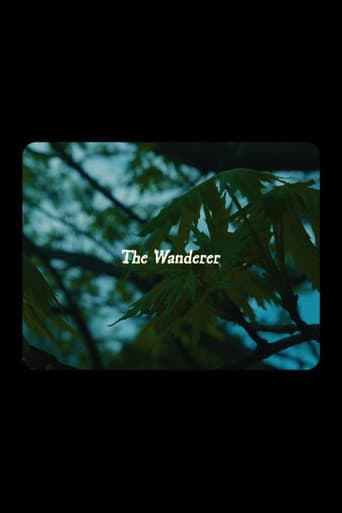 The Wanderer