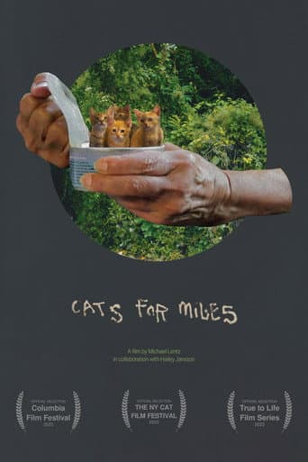 Cats for Miles