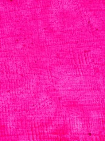 1/24 Pink