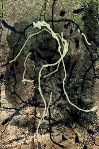 Thunder River