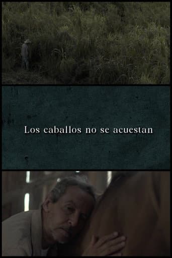 Horses Don’t Lie Down
