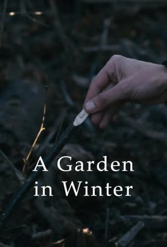 A Garden in Winter