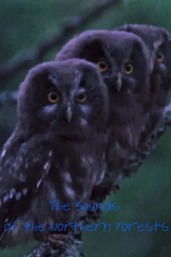 The Sounds of the Northern Forests