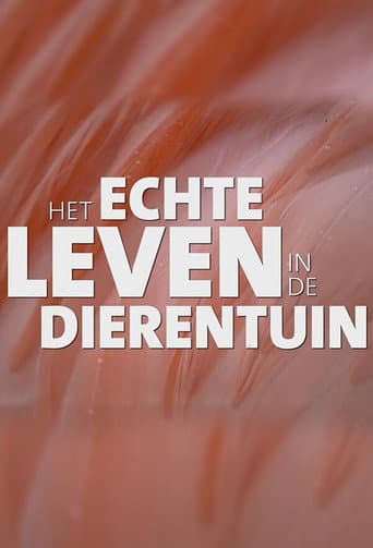 Real Life in the Zoo
