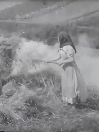 Brûleuses d'herbes