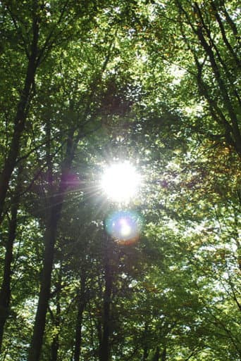 Heliocentric