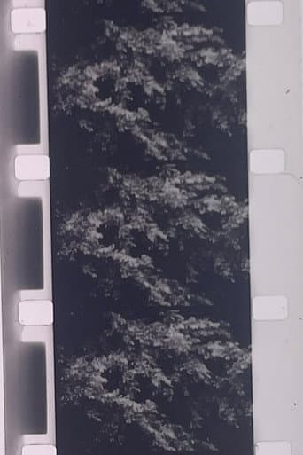 Plotting the Grey Scale: 2 or 3 Quick Traverses