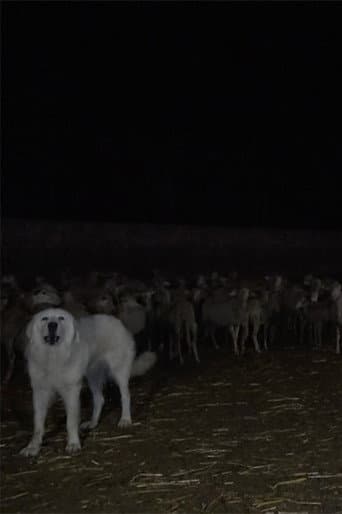 Wolves