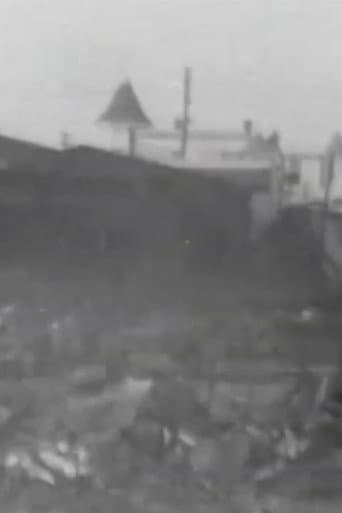 The Great Fire Ruins, Coney Island