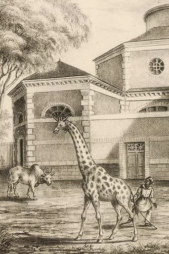 Night Falls on the Menagerie