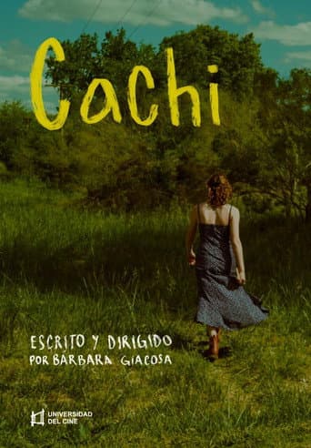 Cachi