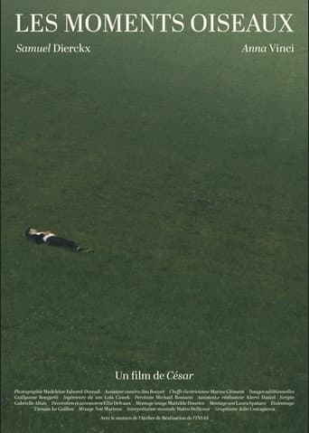 Les Moments Oiseaux