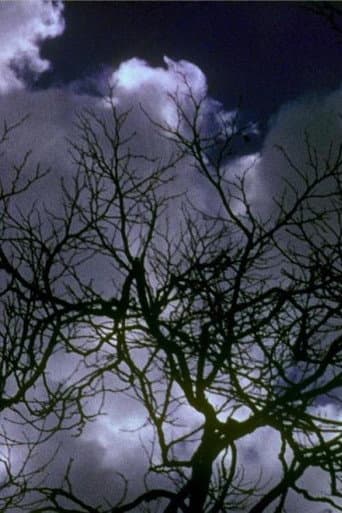 Kodachrome Dailies from the Time of Song and Solitude (Reel 2)