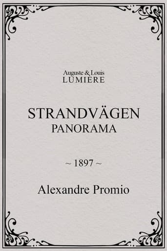 Strandvägen : panorama