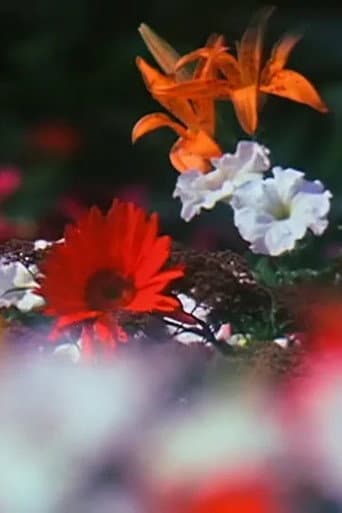 Fleurs