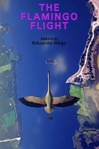 O Voo do Flamingo