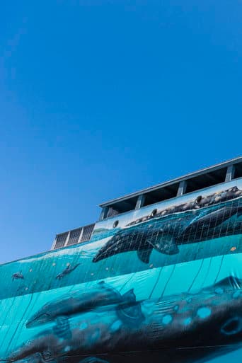 Ocean Stories: Wyland