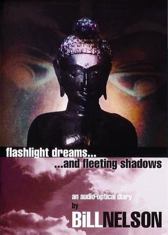 Flashlight Dreams and Fleeting Shadows: an Audio-Optical Diary by Bill Nelson