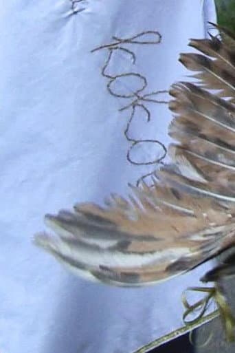 Trials, Tribulations & Sustainable Development of a Cock