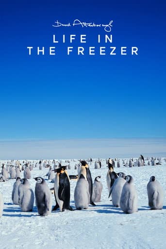 Life in the Freezer