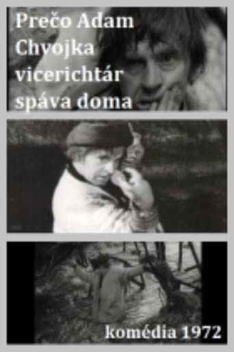 Adam Chvojka vicerichtár