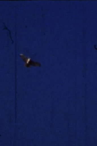 Flying Fish