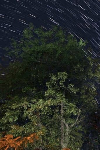 The Summer Triangle