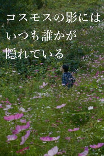 In the Shadow of the Cosmos Flowers