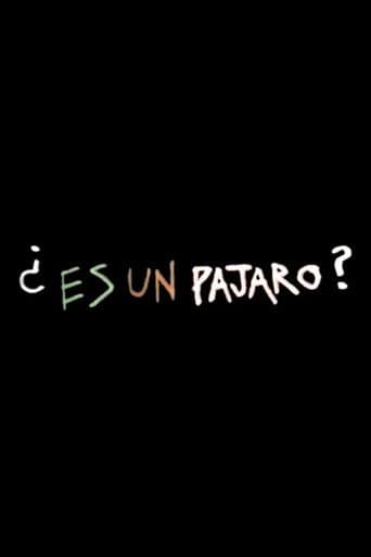 Es Un Pajaro