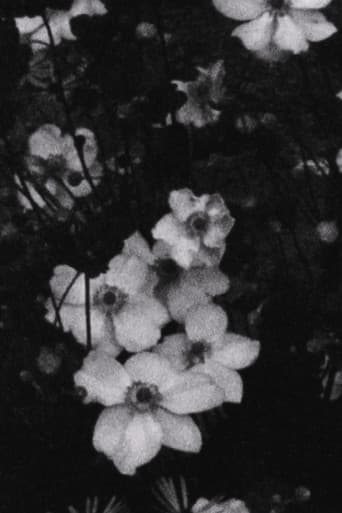 Für P. (Weiße Blumen)