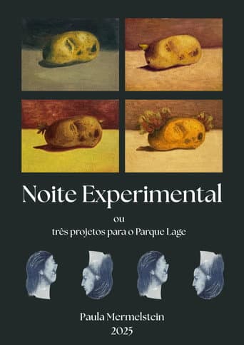 Noite Experimental