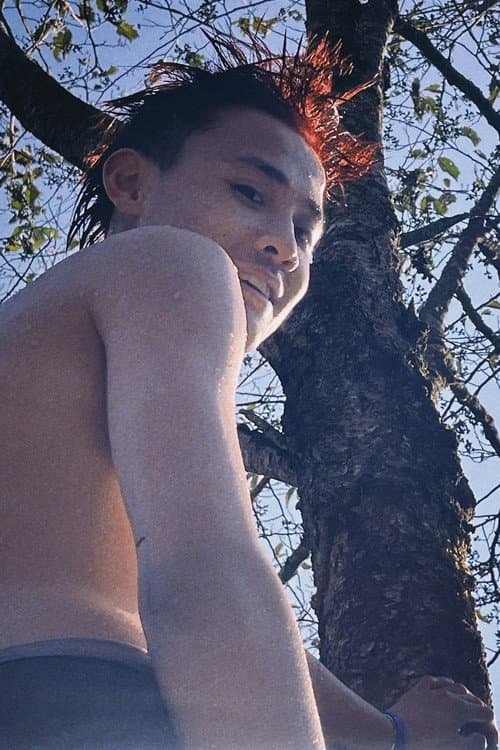 高小康