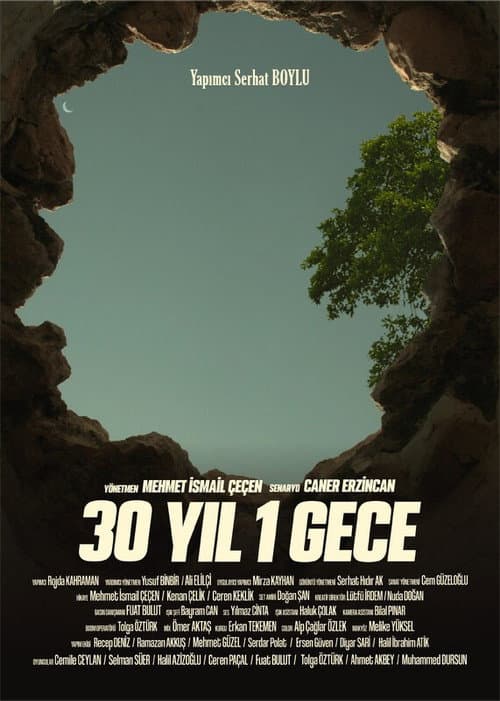 30 YIL 1 GECE