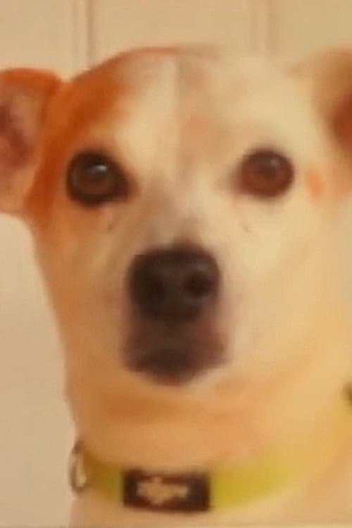 Toby