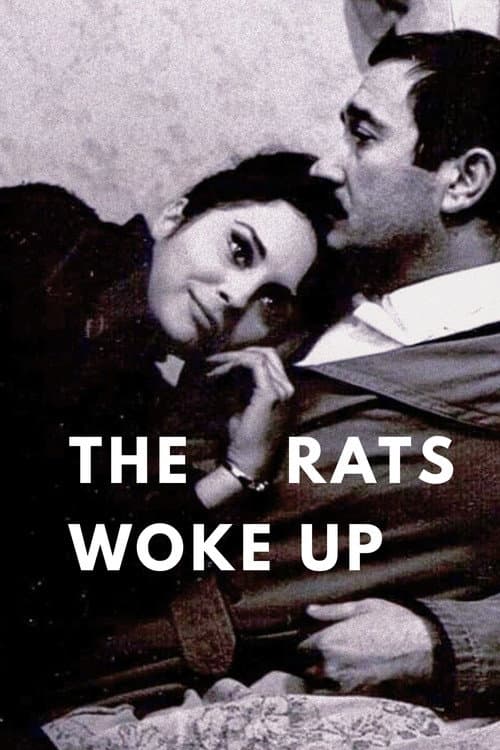 The Rats Woke Up