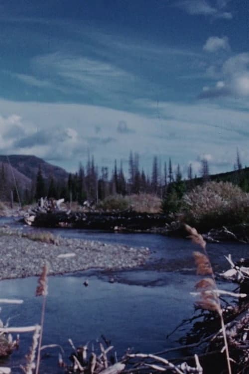 Concerto for Water, Sun and Wilderness
