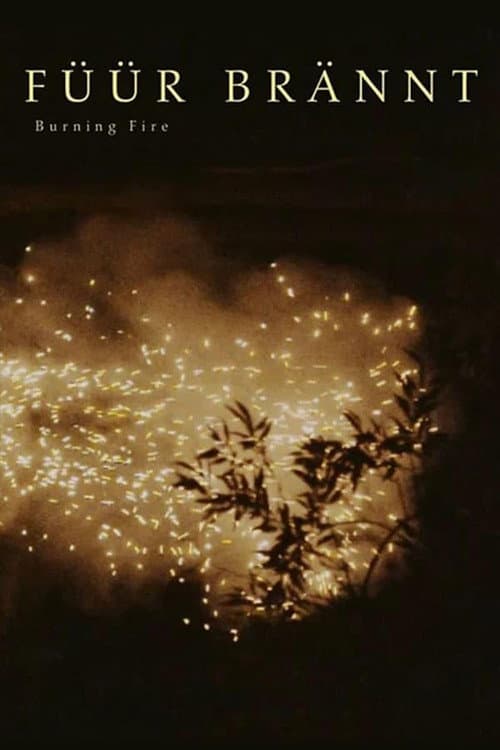 Burning Fire