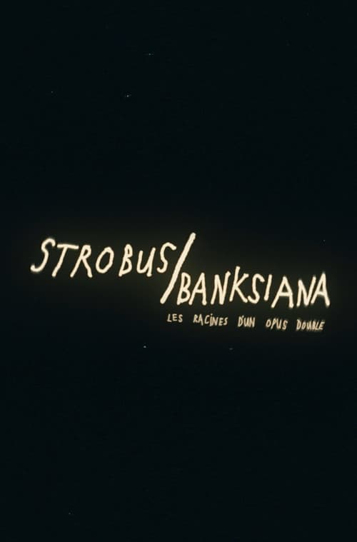 Strobus / Banksiana : les racines d'un opus double