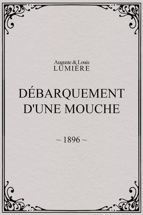Lyon: Débarquement d'une mouche